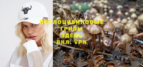 mdpv Алексеевка