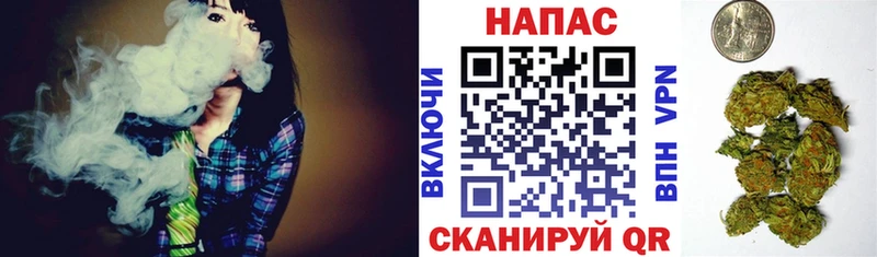 Купить  Терек  Бошки марихуана White Widow 